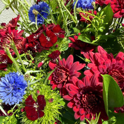 Livraison de fleurs en moins de 4h