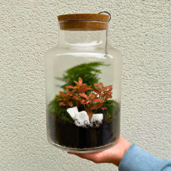 Terrarium