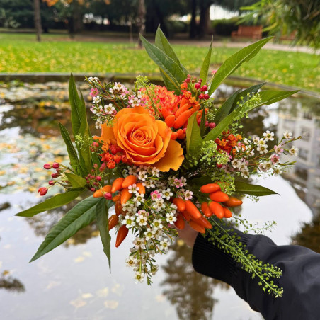 Bouquet du mois – Le Wax, la fleur solaire de la saison