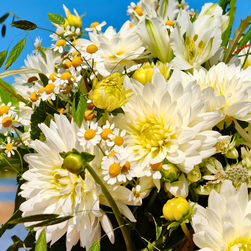Idées cadeaux - offrir des fleurs - Fleurs Ô Naturel