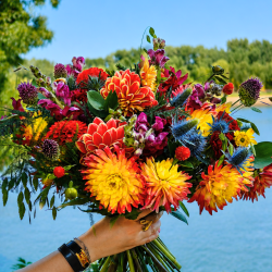 Idées cadeaux - offrir des fleurs - Fleurs Ô Naturel