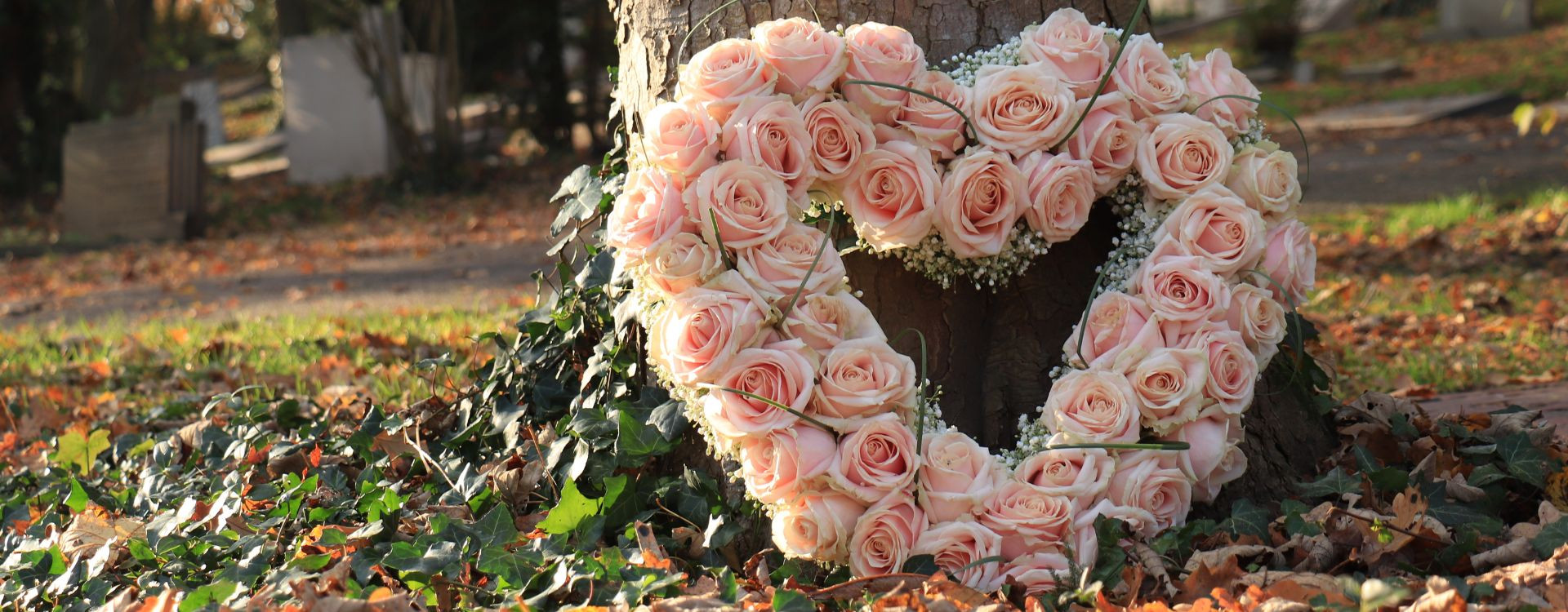 Votre Compagnon de Compassion: Fleurs Ô Naturel pour les Services Funéraires